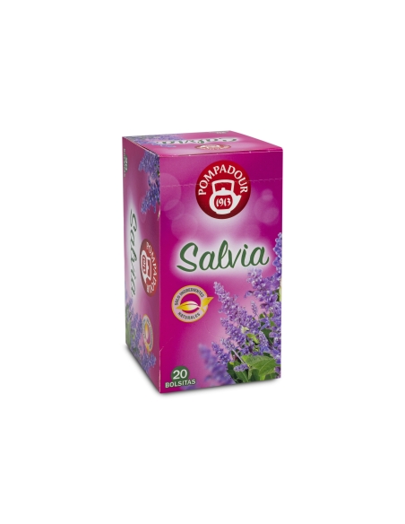 salvia pompadour salvia pompadour