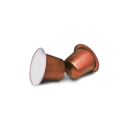 Jengibre con Arándanos