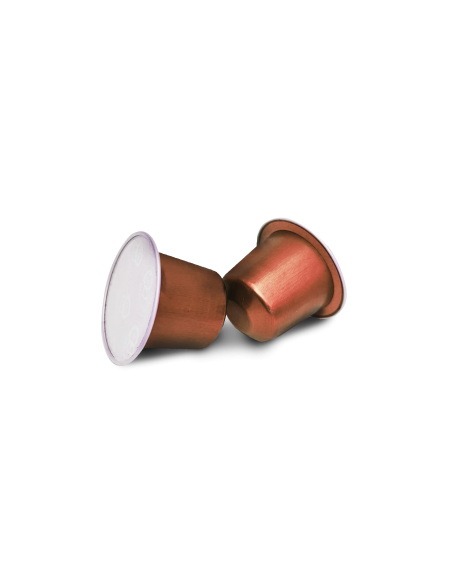 Jengibre con Arándanos