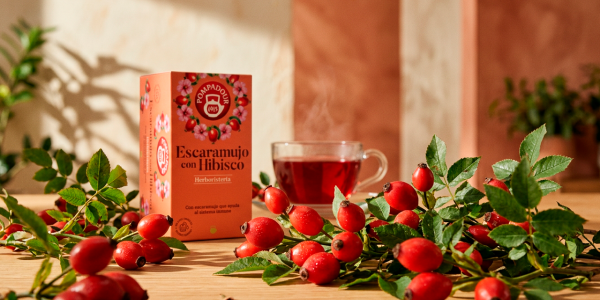 Propiedades del escaramujo, el fruto del rosal silvestre