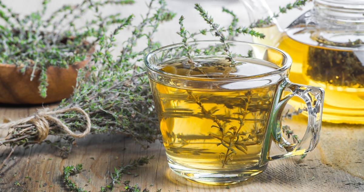 Infusión de Tomillo: Conoce sus impresionantes beneficios - Pompadour